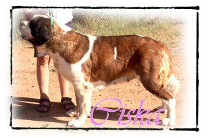 Ciska_ 4 yrs