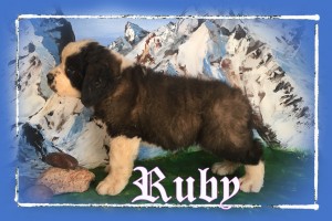 Ruby_7wks_1